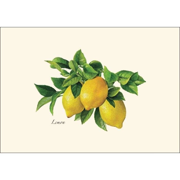 Greeting card with 3 lemons hanging on a branch of greenery.