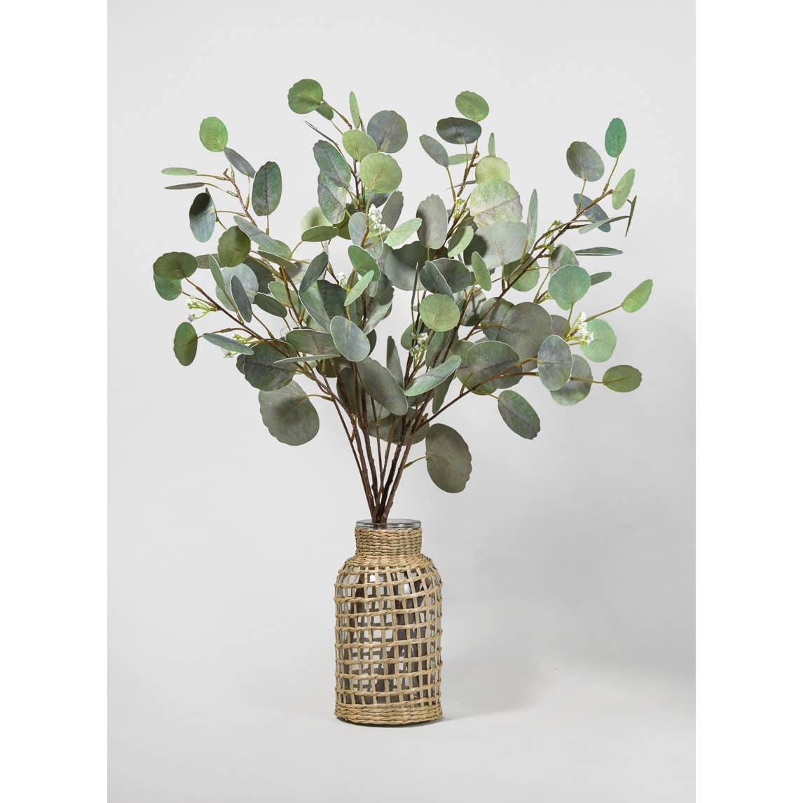 Bouquet of eucalyptus in a woven vase on a light gray background.
