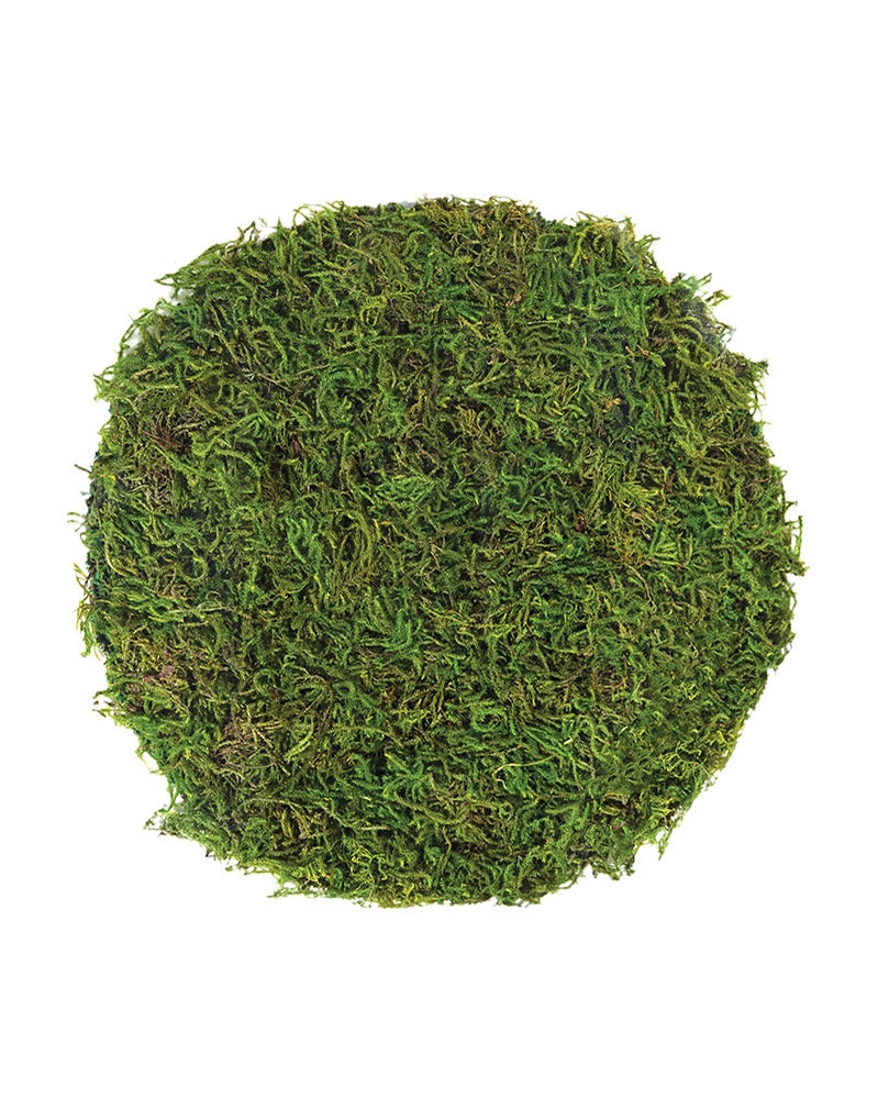 Mossy Table Setting Placemat