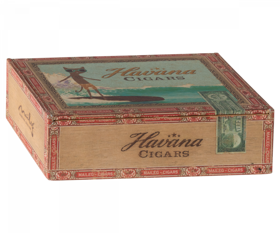 Mum and Dad Mice in Cigarbox