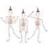 Three cartoon skeletons with festive hats on a white background