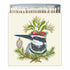 A square box of matches with a whimsical bird illustration surrounded by holiday greenery and decorations, artwork by Vicki Sawyer.