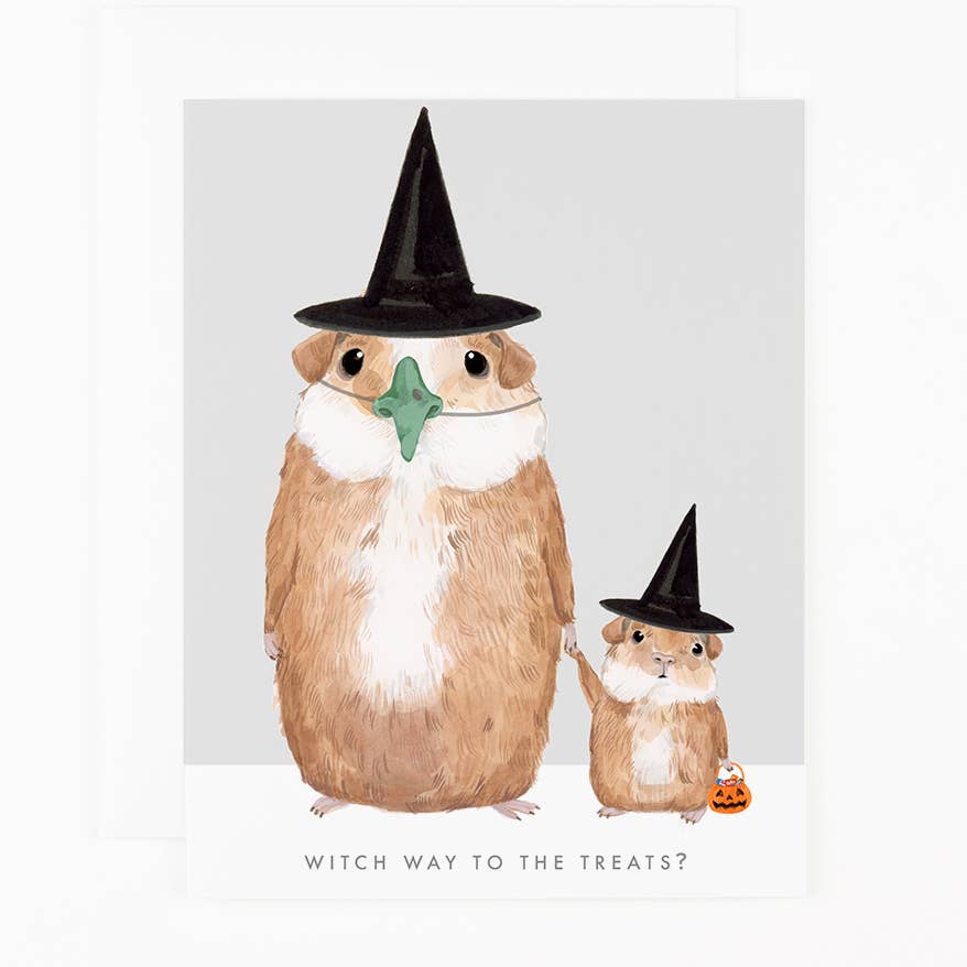 Two animals, an owl and a hamster, wearing Halloween witch hats on a light gray background.
