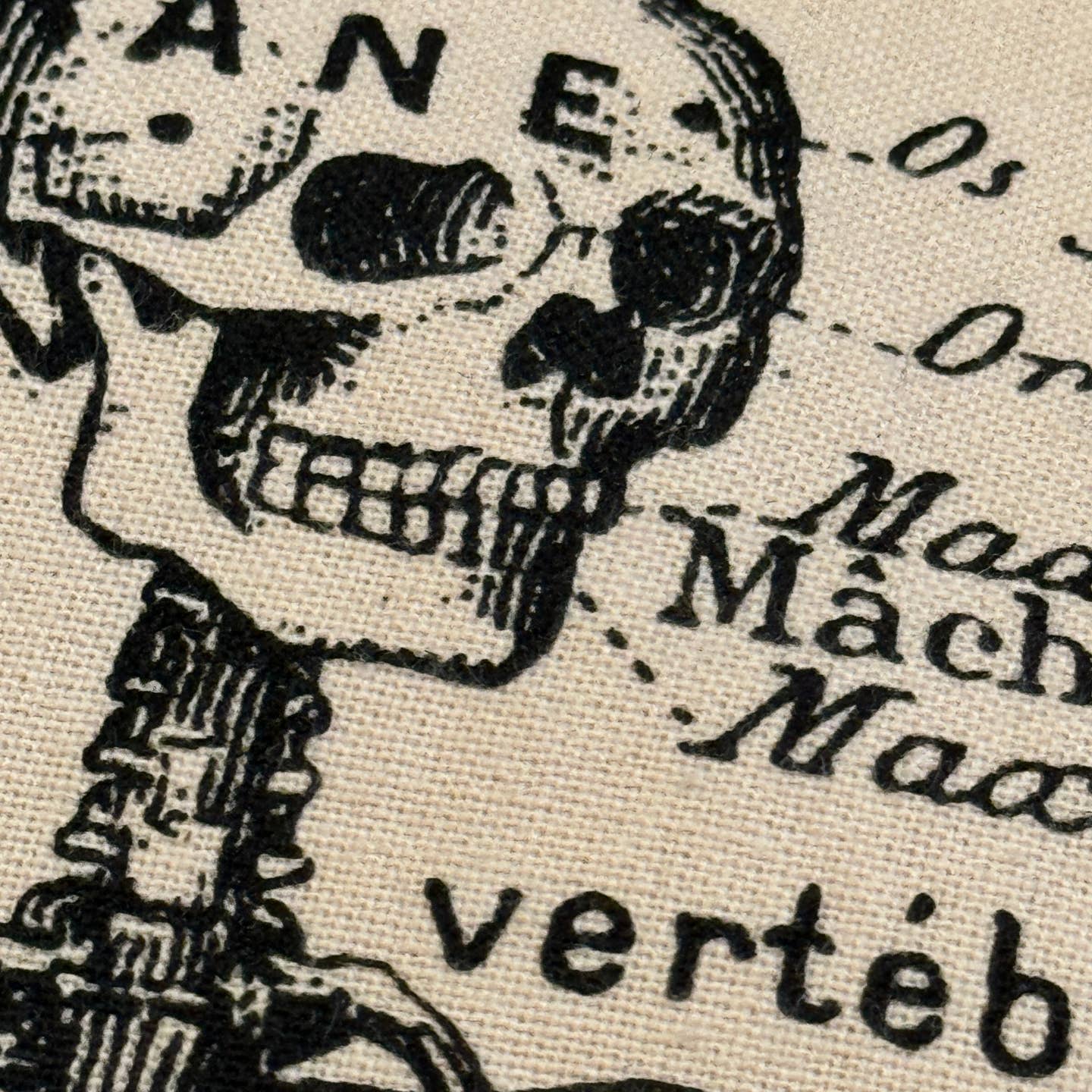 Tea towel with the image of a skeleton on it and the part of the skeleton named in French. 