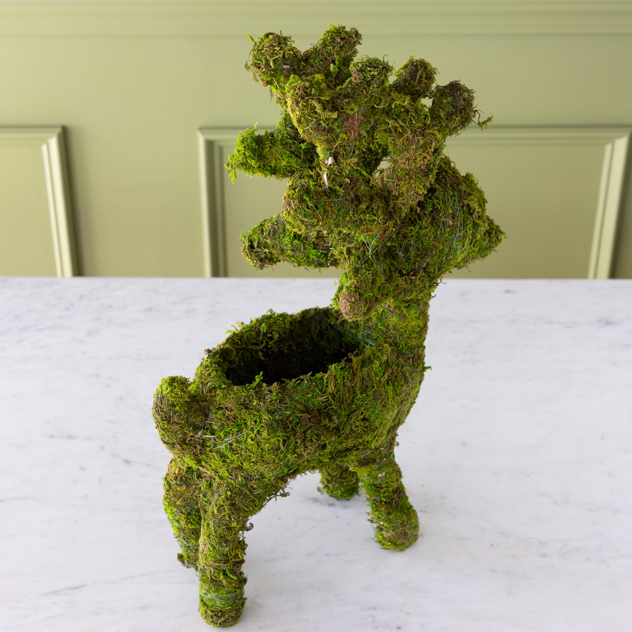 Moss-covered deer-shaped planter on a white surface with a light green wall in the background.