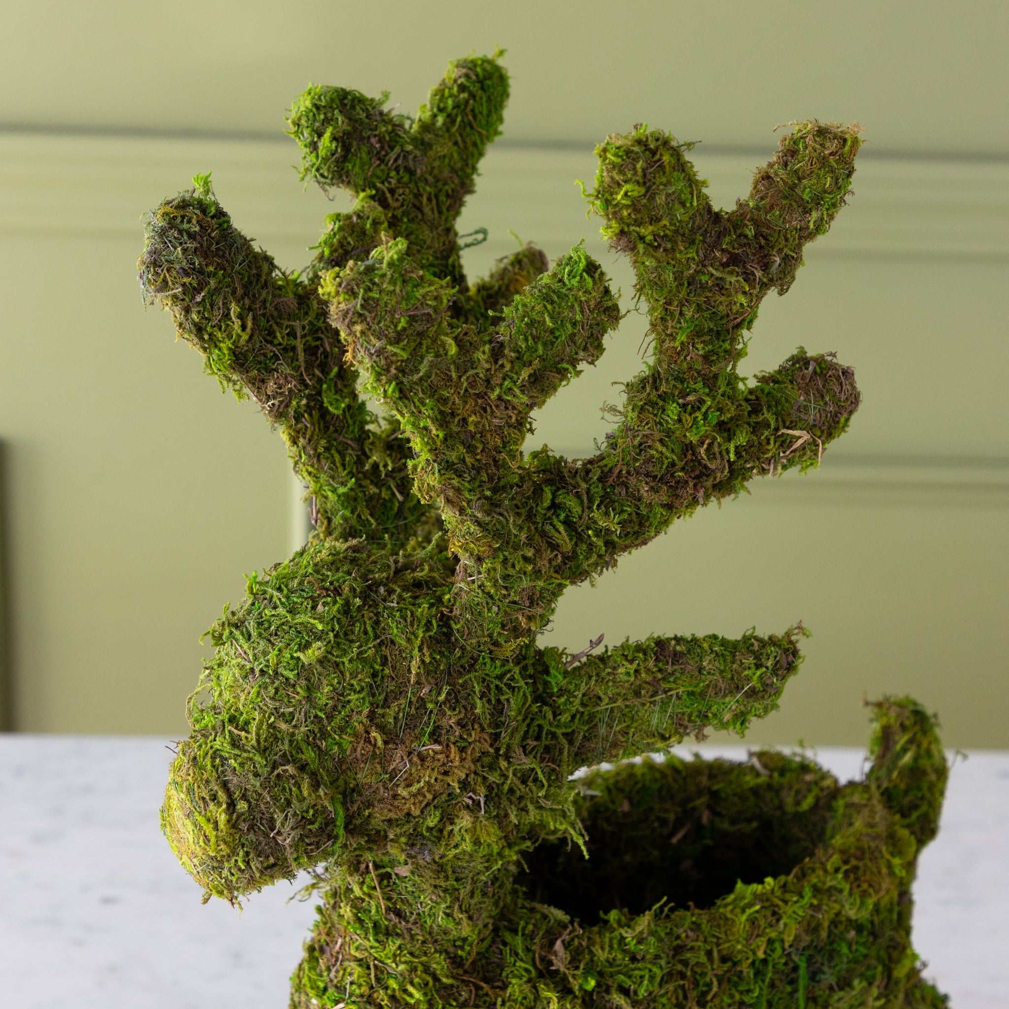 Close up of the sitting Moss Reindeer Planter&