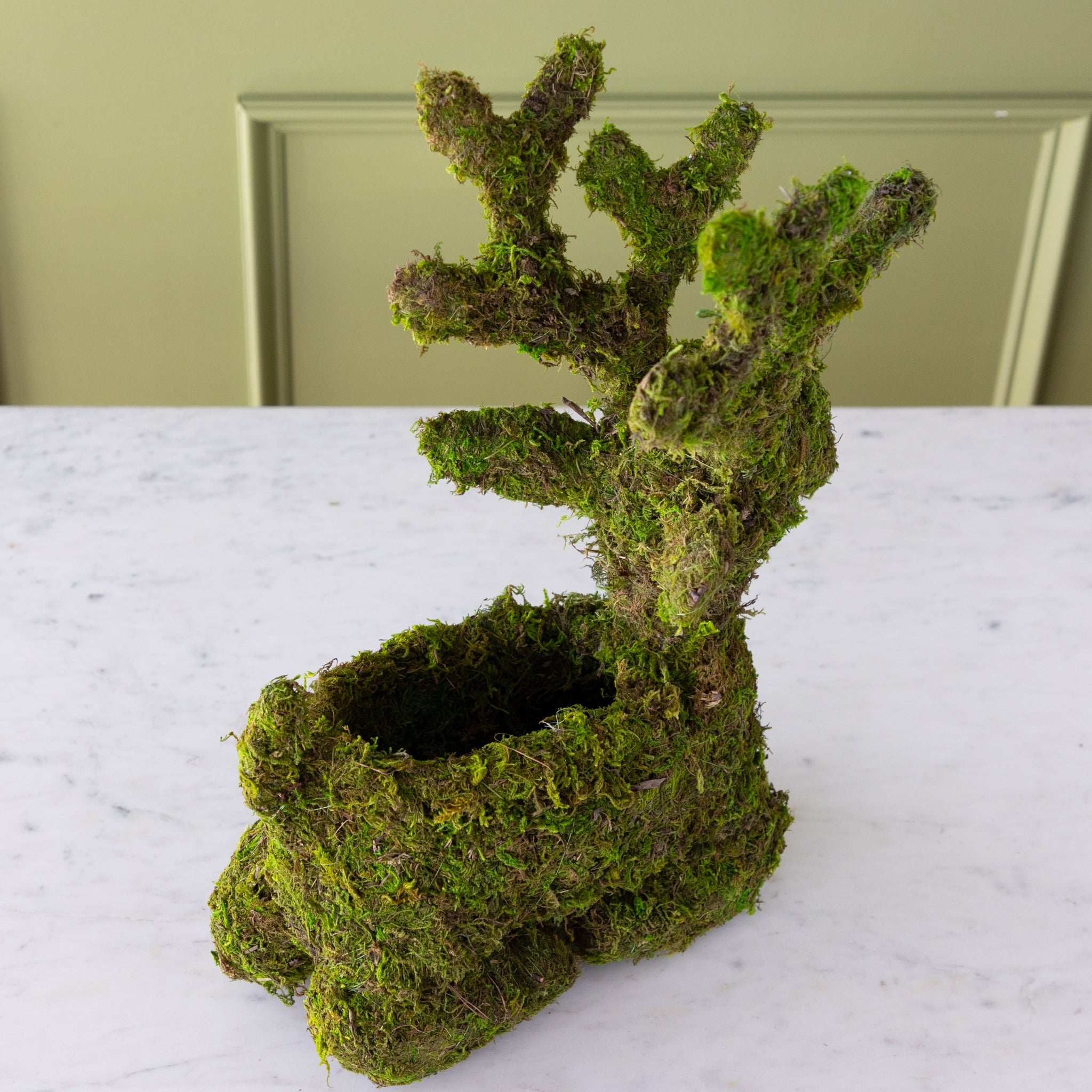Sitting moss-covered reindeer planter with a space in it&
