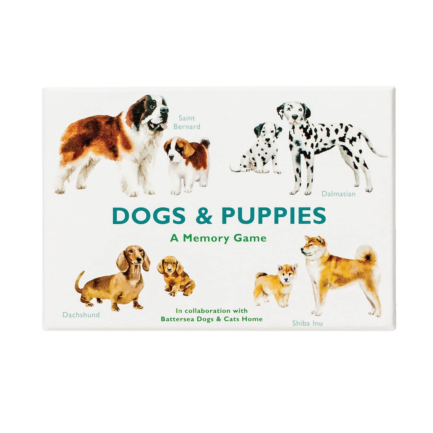 A selection of illustrated dogs and puppies on cards for a memory game, with diverse breeds including a Siberian Husky, a Pug, a Dachshund, and a Dalmatian.