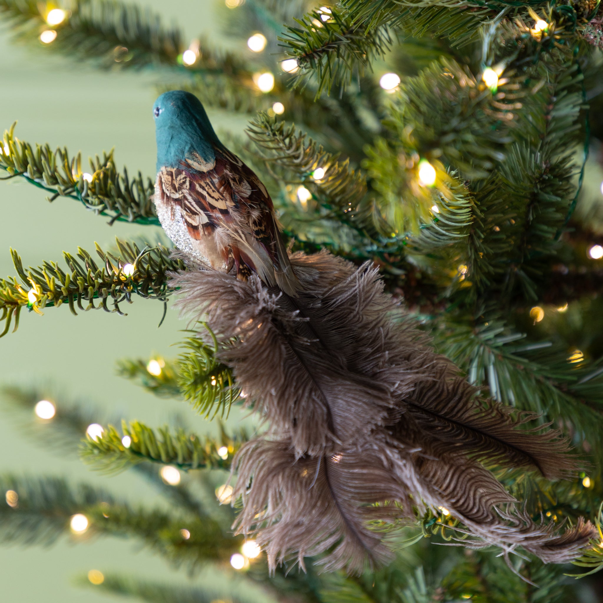 Decorative feathered bird ornament on a Christmas tree with lights in the background.