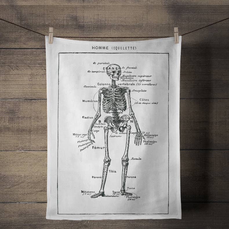 Tea towel with the image of a skeleton on it and the part of the skeleton named in French. 