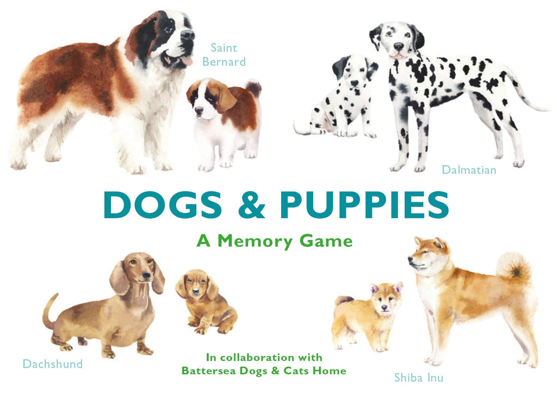 A selection of illustrated dogs and puppies on cards for a memory game, with diverse breeds including a Siberian Husky, a Pug, a Dachshund, and a Dalmatian.