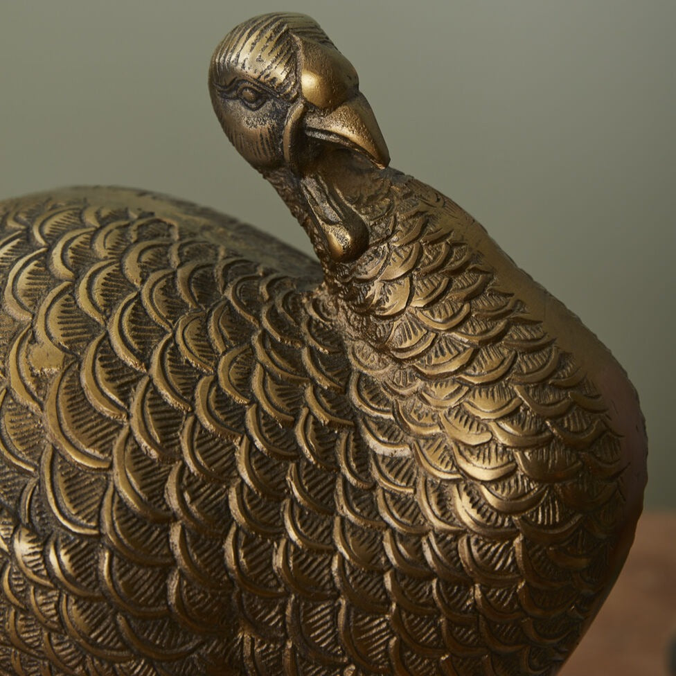 Close up on Large Turkey