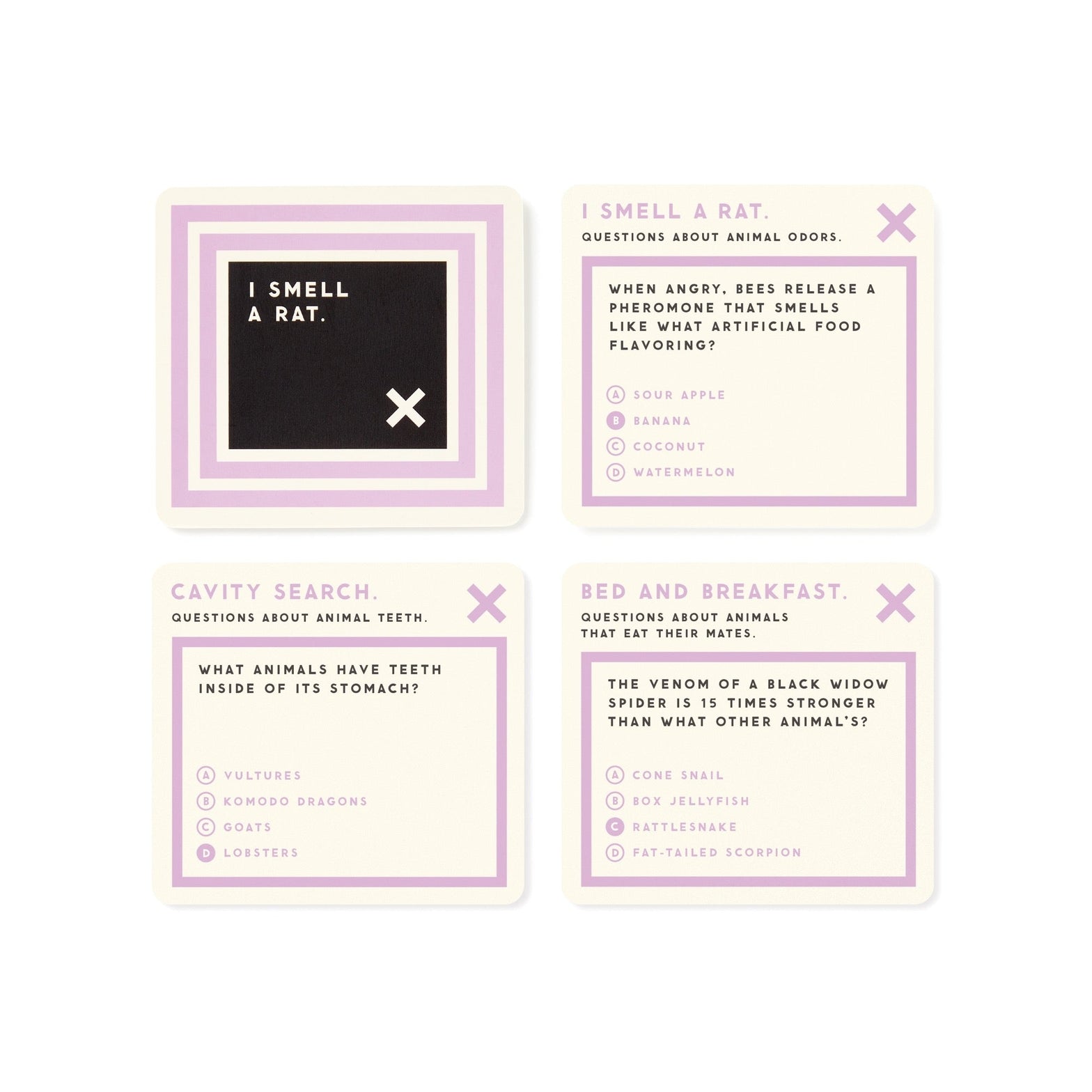 Set of game cards with questions and answers on a white background.