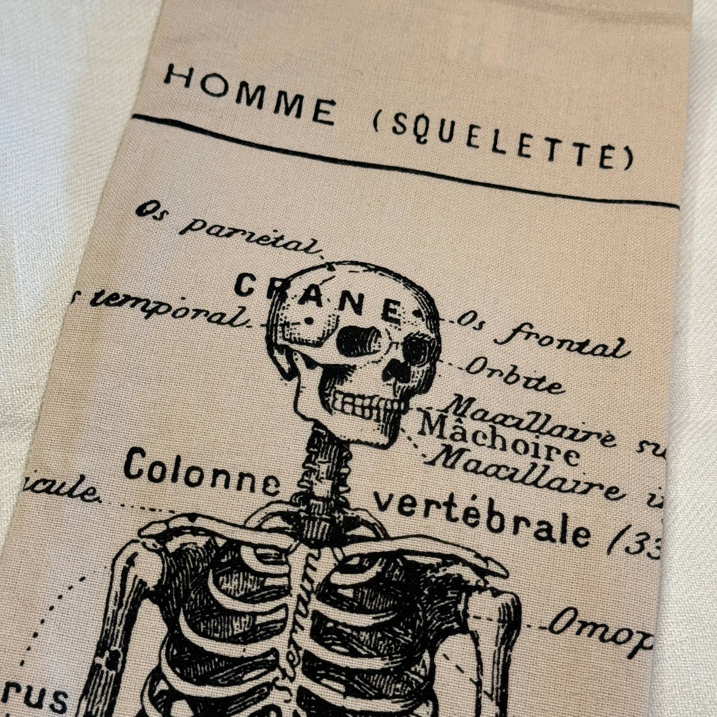 Tea towel with the image of a skeleton on it and the part of the skeleton named in French.