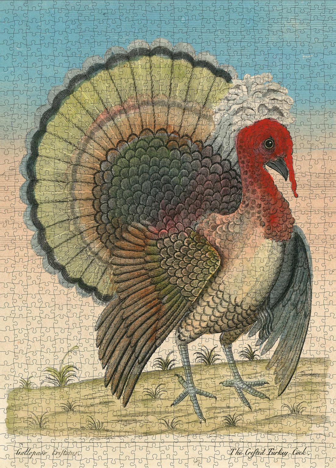 John Derian: Crested Turkey 1,000 Piece Puzzle