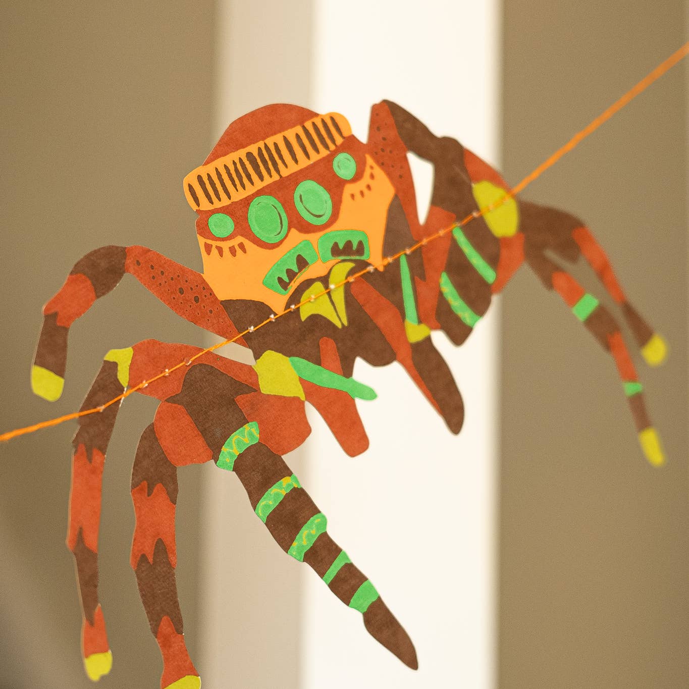 Close up of a spider. 