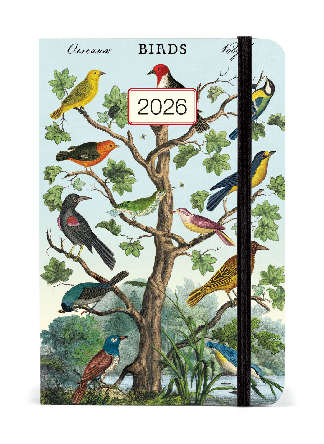 Cavallini 2026 Birds planner.