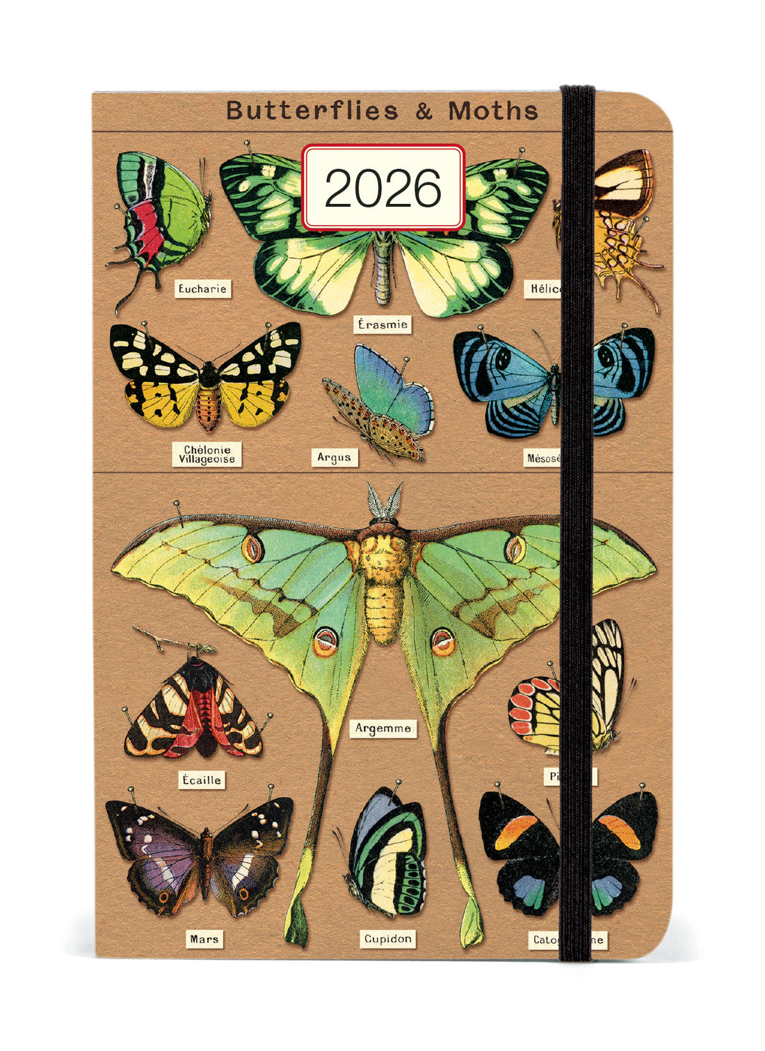 Cavallini 2026 Entomology (Butterflies & Moths) planner.