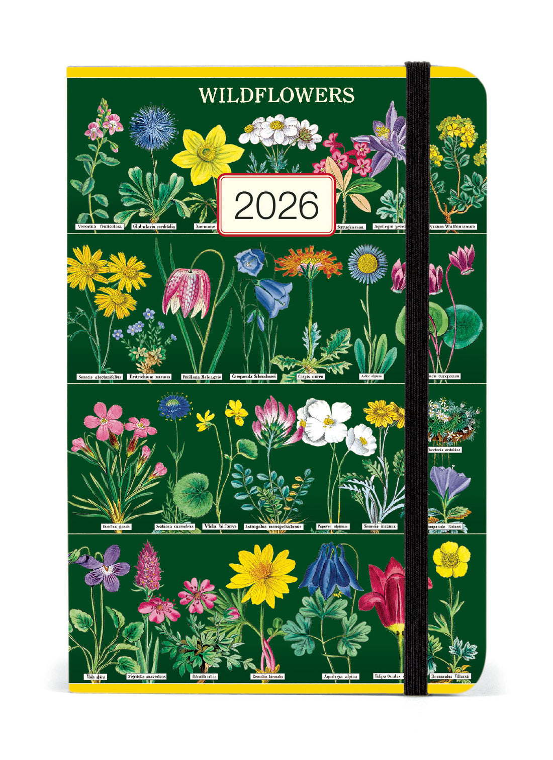 Cavallini Wildflowers 2026 planner. 