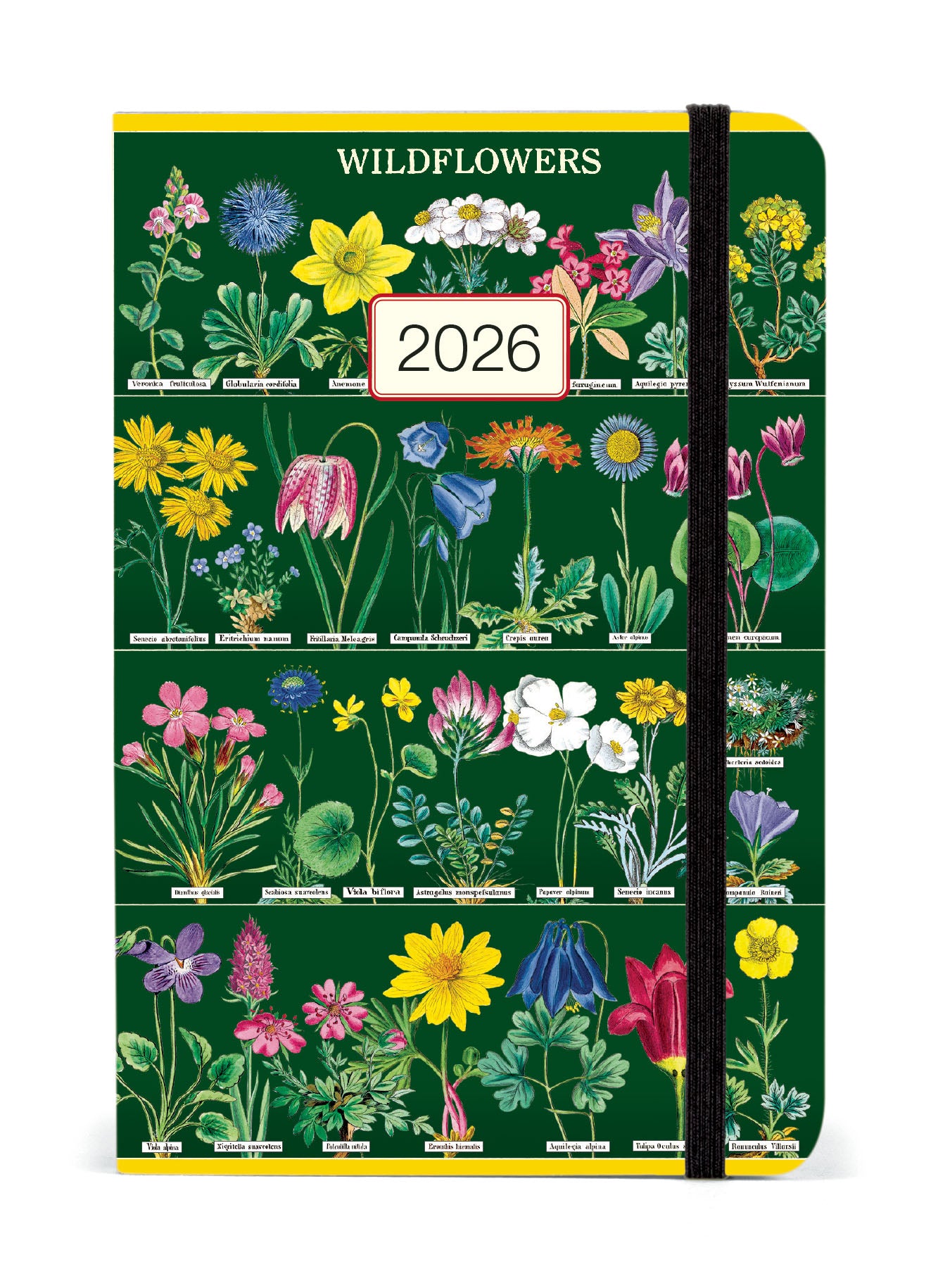 Cavallini Wildflowers 2026 planner. 