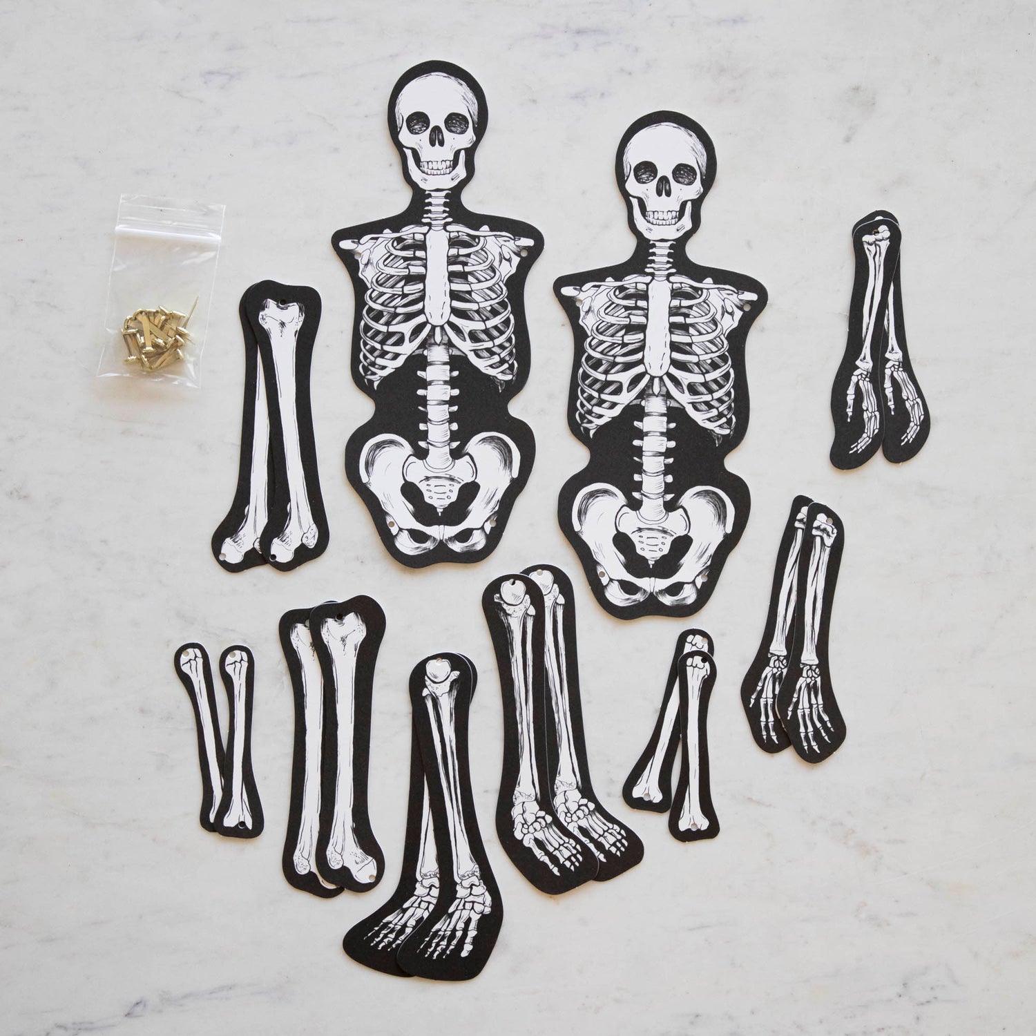 Articulated Skeleton Decorative Accent