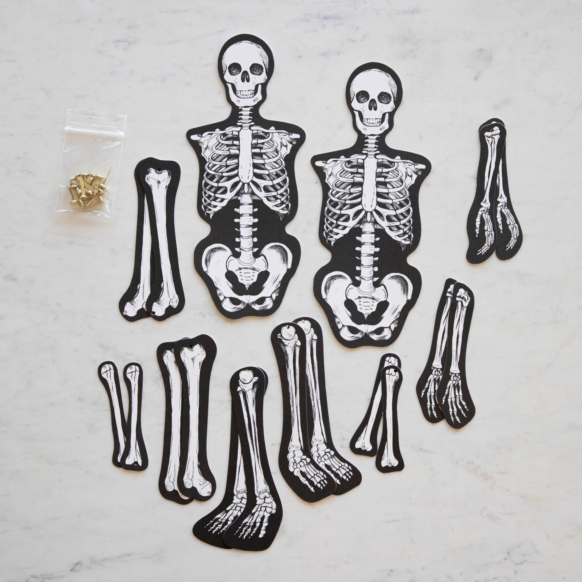 Articulated Skeleton Decorative Accent