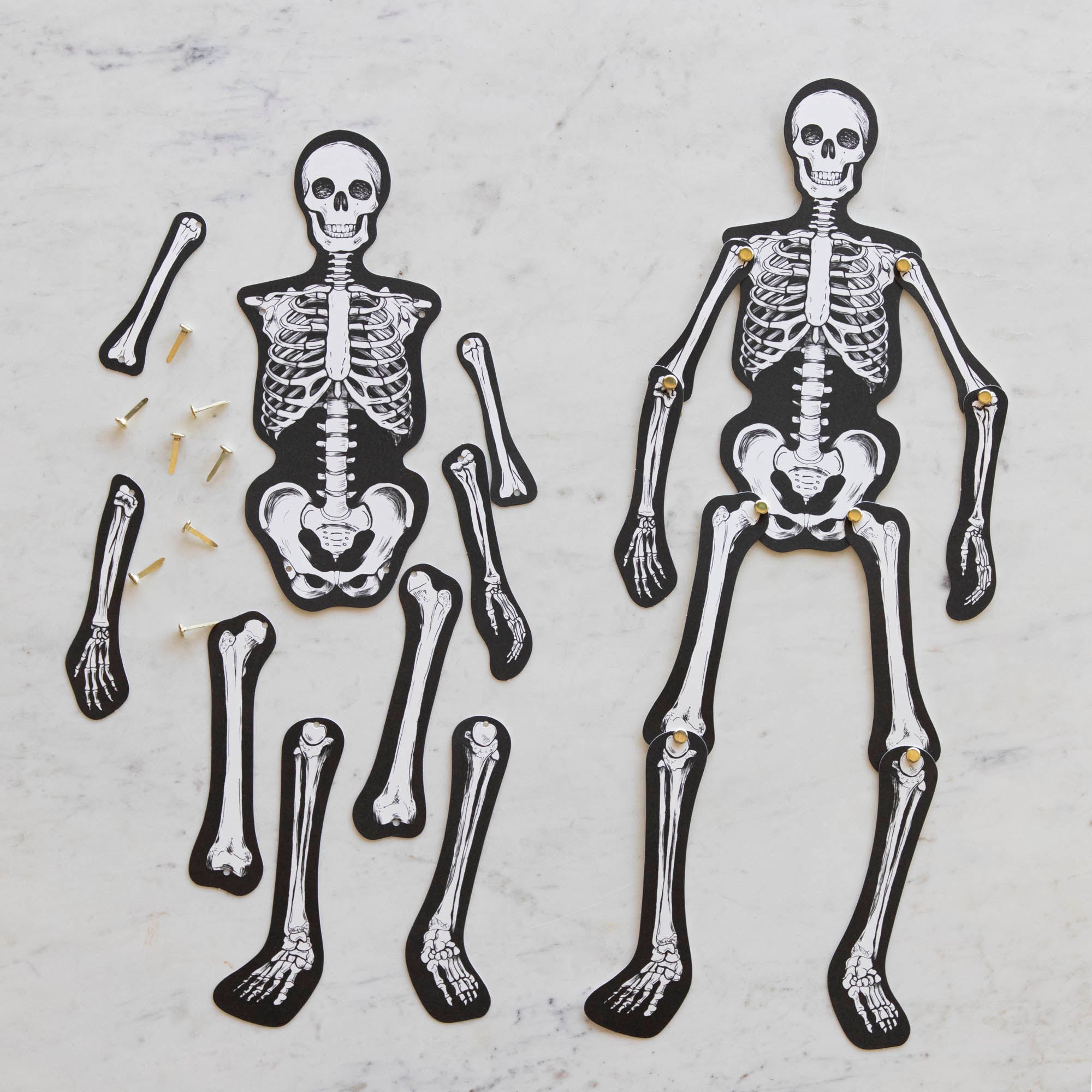 Articulated Skeleton Decorative Accent