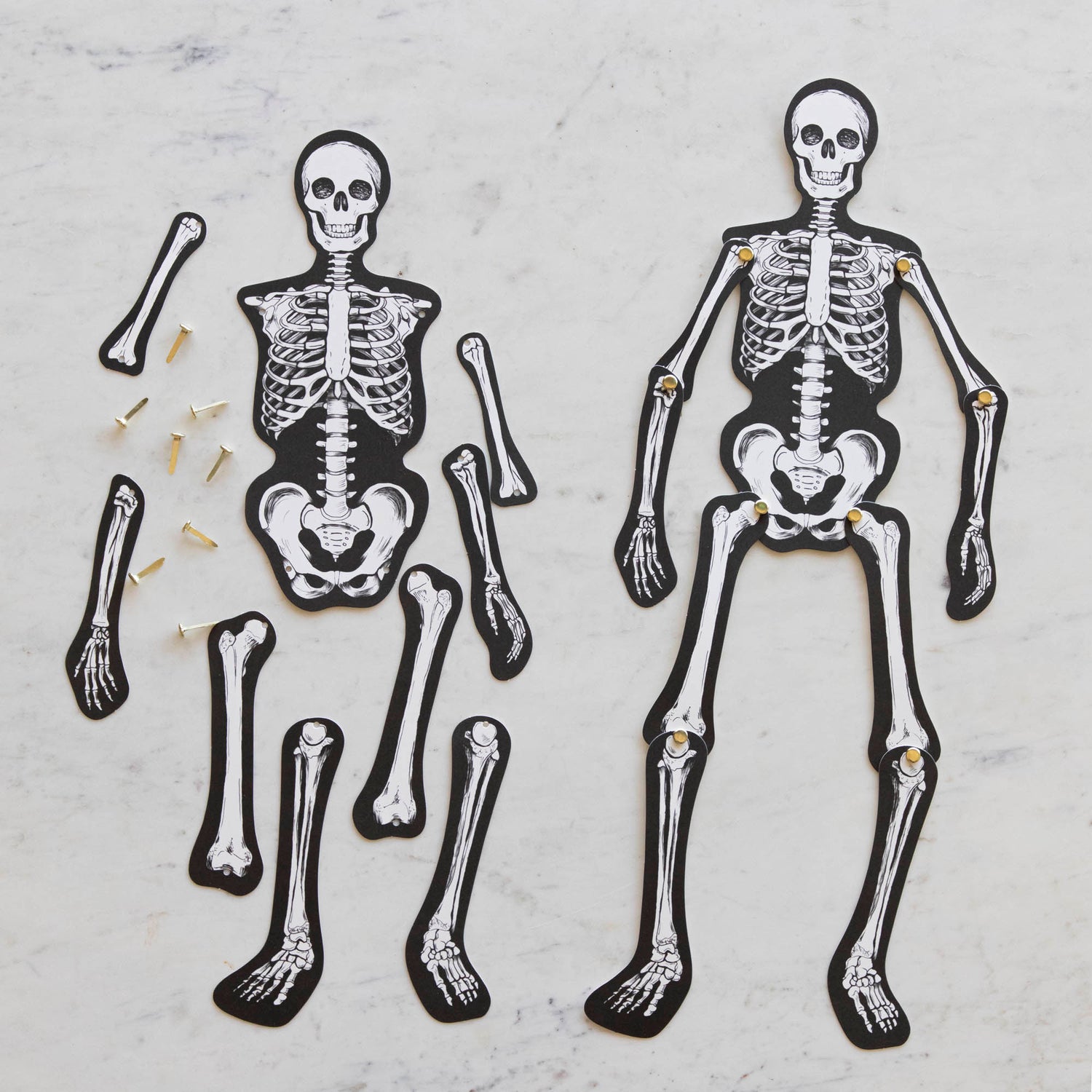 Articulated Skeleton Decorative Accent