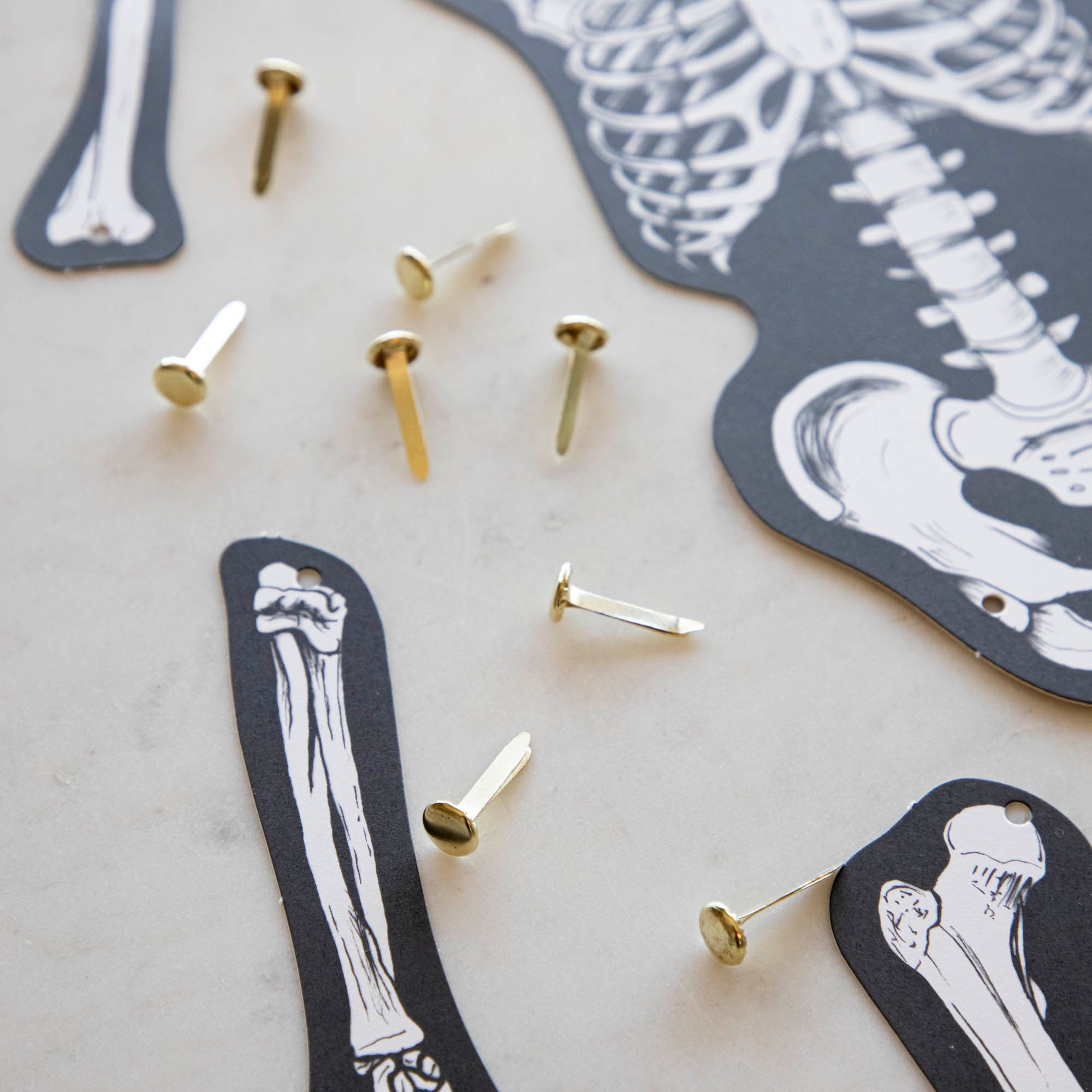 Articulated Skeleton Decorative Accent