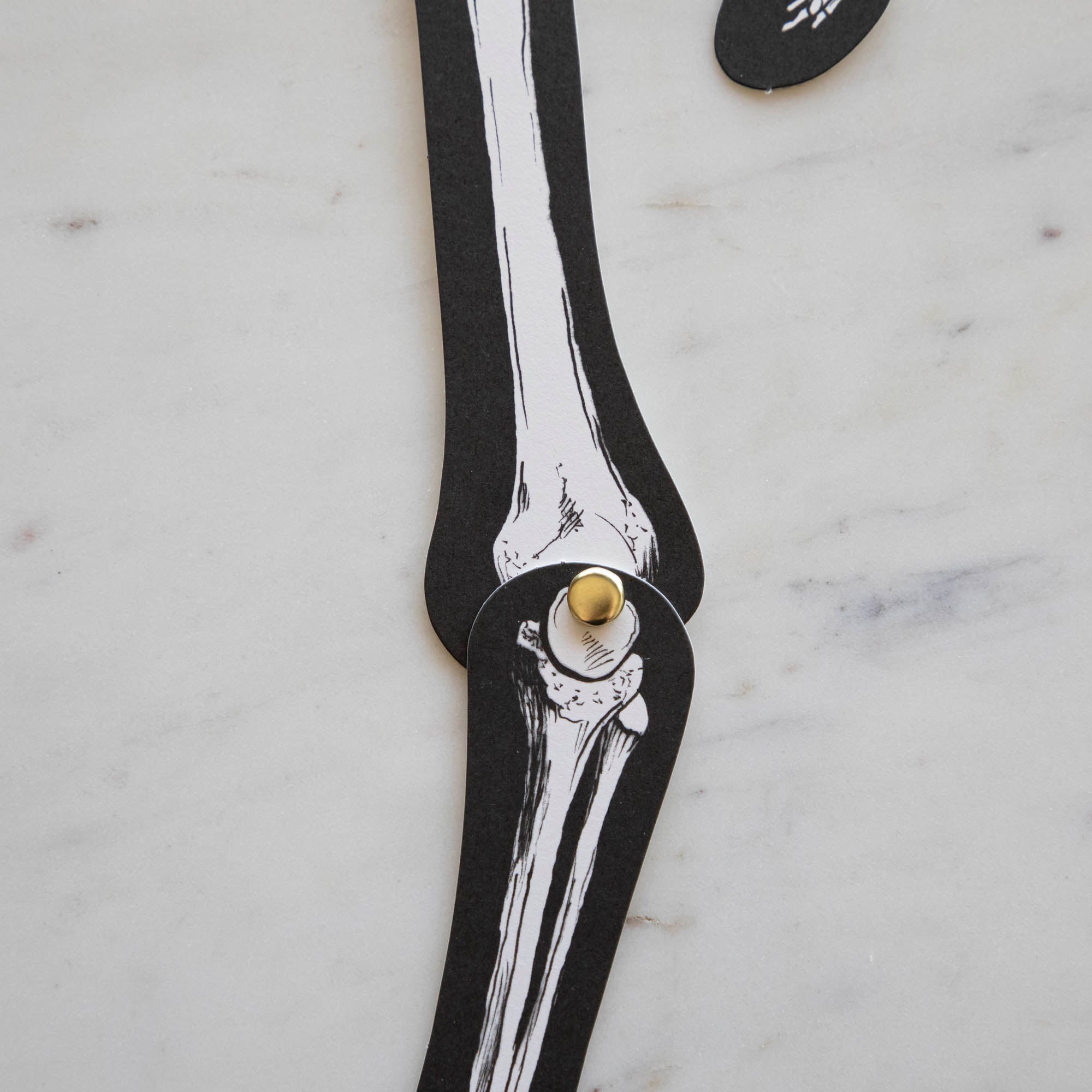 Articulated Skeleton Decorative Accent