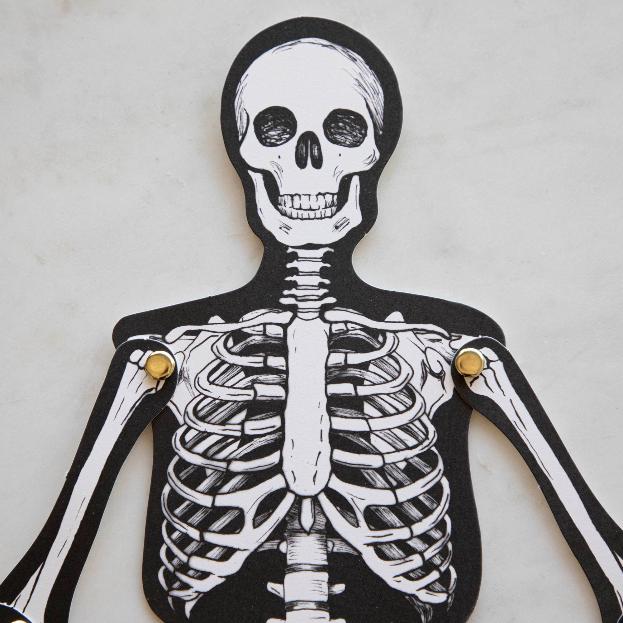 Articulated Skeleton Decorative Accent