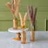 Three Amber Pleated Glass Bottle Bud Vases with dried plants on a marble surface against a green wall.