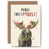An illustration of a moose with a festive wreath around its neck, a candy cane sticking out its mouth, and Christmas lights and presents adorning its antlers, along with the words "Merry ChristMOOSE!".