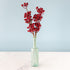 Cranberry Red Iced Picks in a green bottle, against a light blue background.