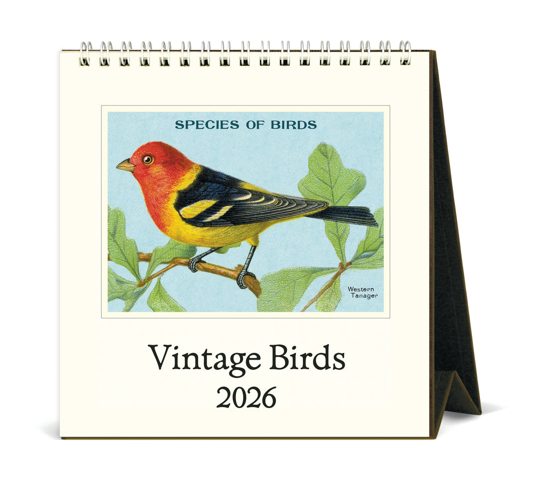Cavallini Vintage Birds 2026 calendar. 