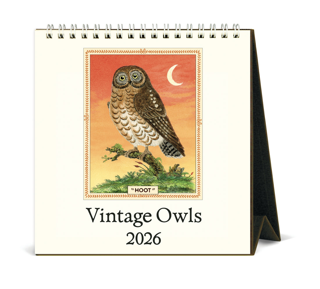Cavallini 2026 Vintage Owls calendar.