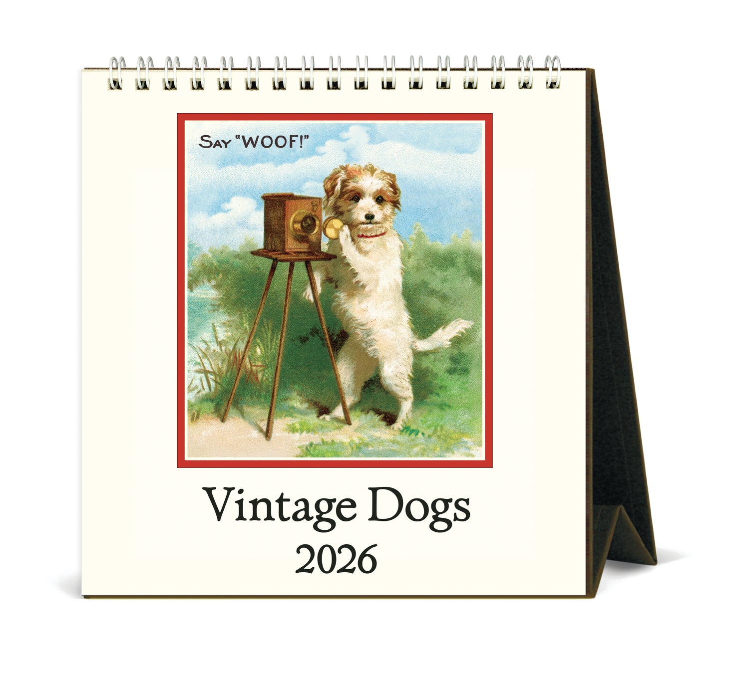 Cavallini 2026 Vintage Dogs calendar. 
