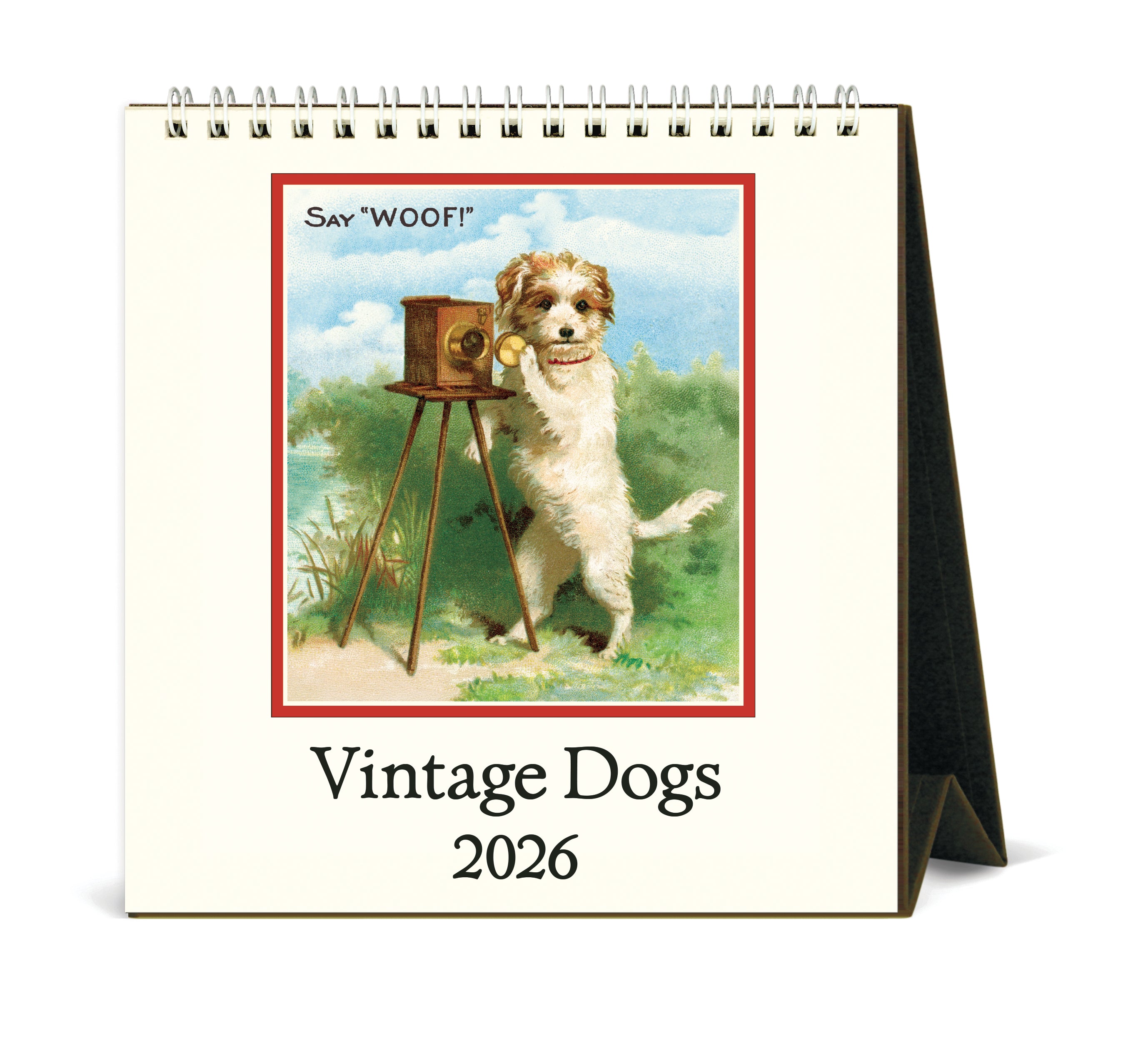 Cavallini 2026 Vintage Dogs calendar. 