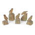 Set of 5 Song Bird Relics in different sizes and poses.