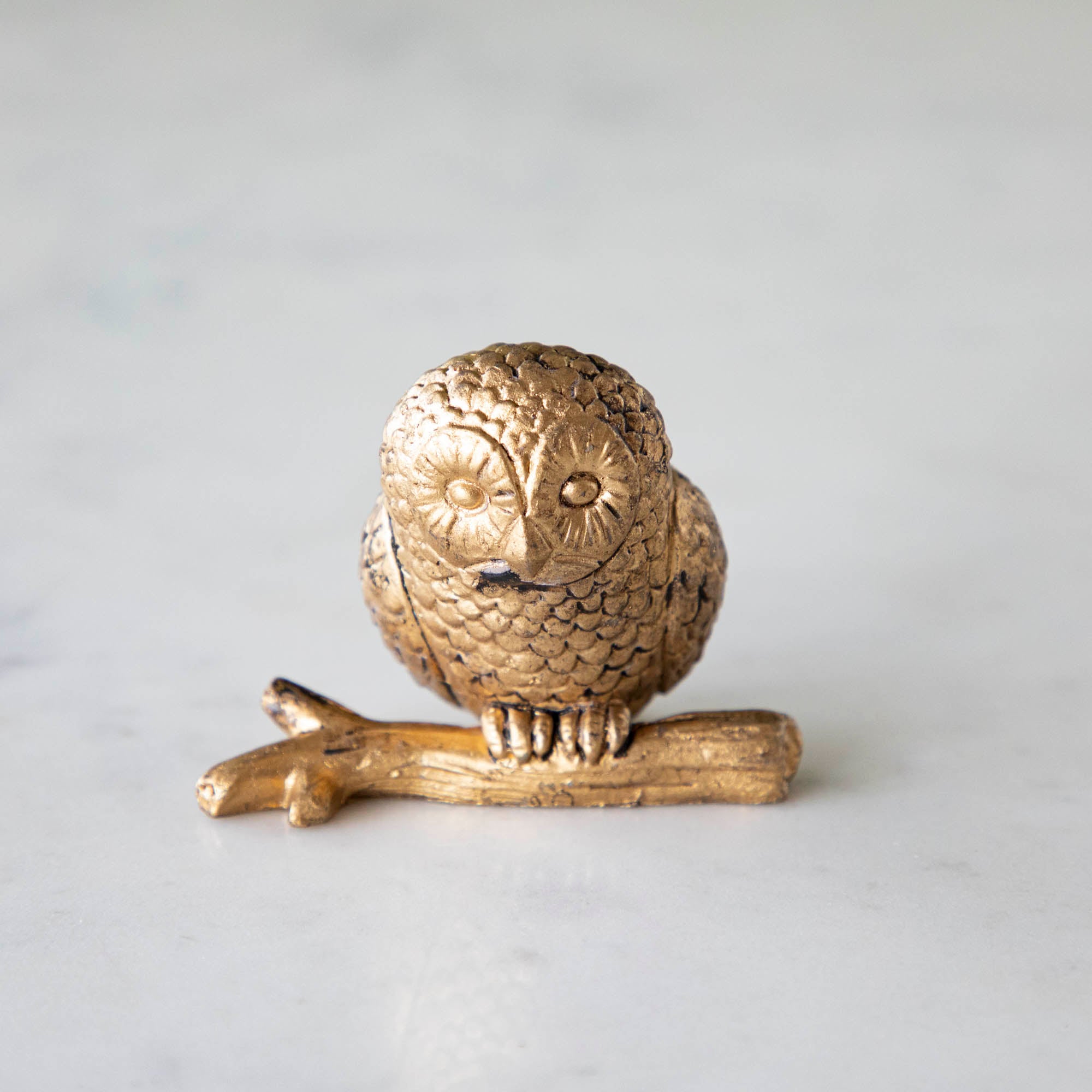 A front view of the Owl Name Card Holder sitting on a branch, showing its line details that resemble fur and rustic look.