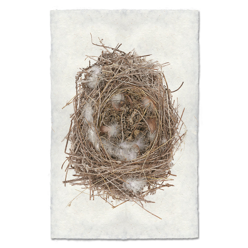 Artwork by Barloga Studio&