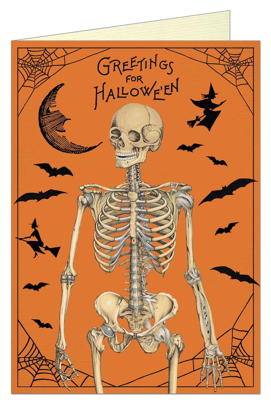 Greeting card with orange background and a skeleton on it saying Greetings for Halloween with bats flying around the skeleton