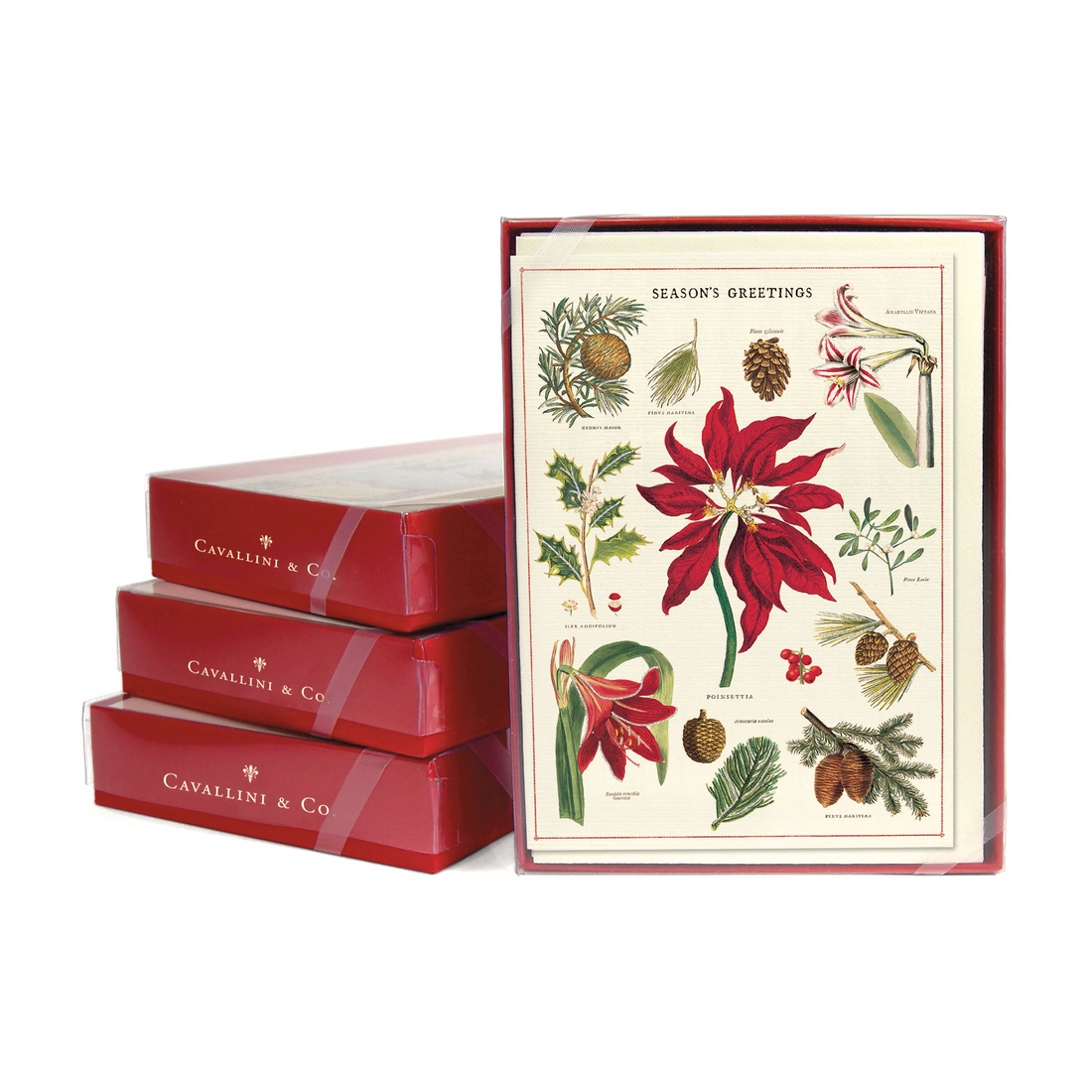 Botanica Christmas Boxed Set of 10 Notecards.