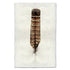 Artwork of a grouse feather. 