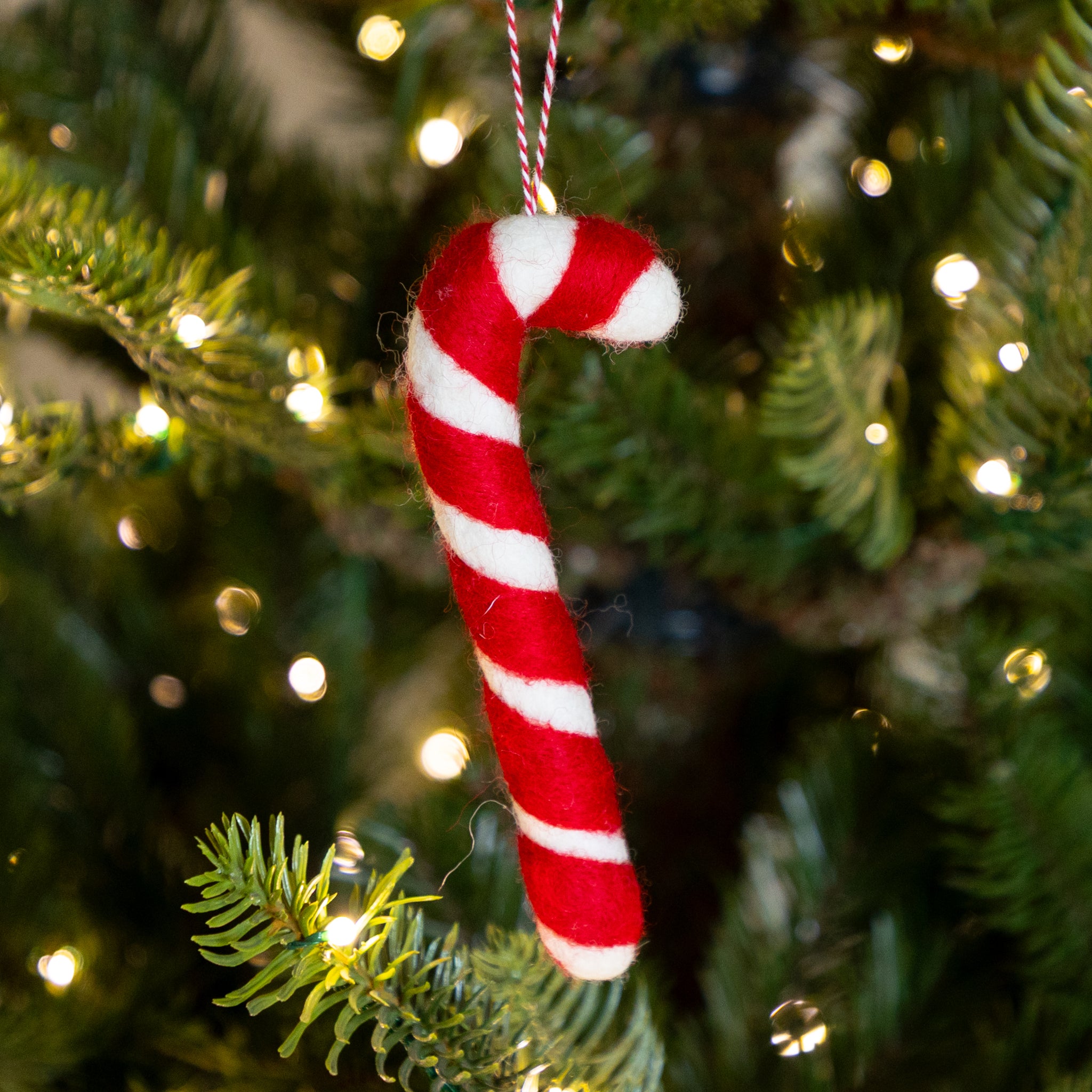 Red and white felt striped candy cane ornament on a Christmas tree with lights.