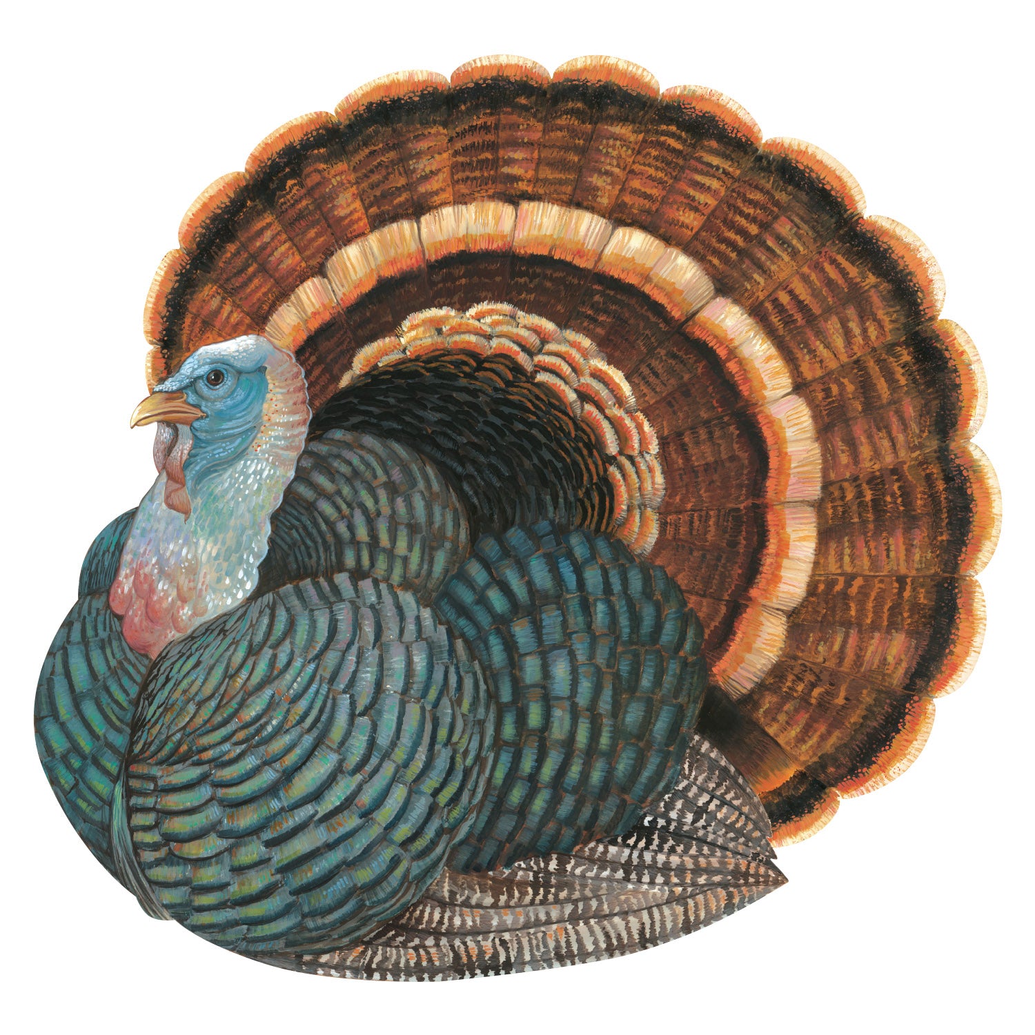 A die-cut illustration of a plump brown, blue and black turkey.