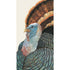 A white, rectangle guest napkin featuring a plump brown, blue and black turkey filling up most of the surface.