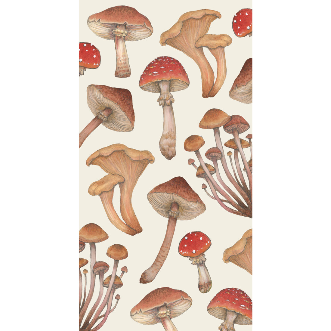 An illustration of various mushrooms, including red-capped and brown-capped varieties, arranged on a cream background.