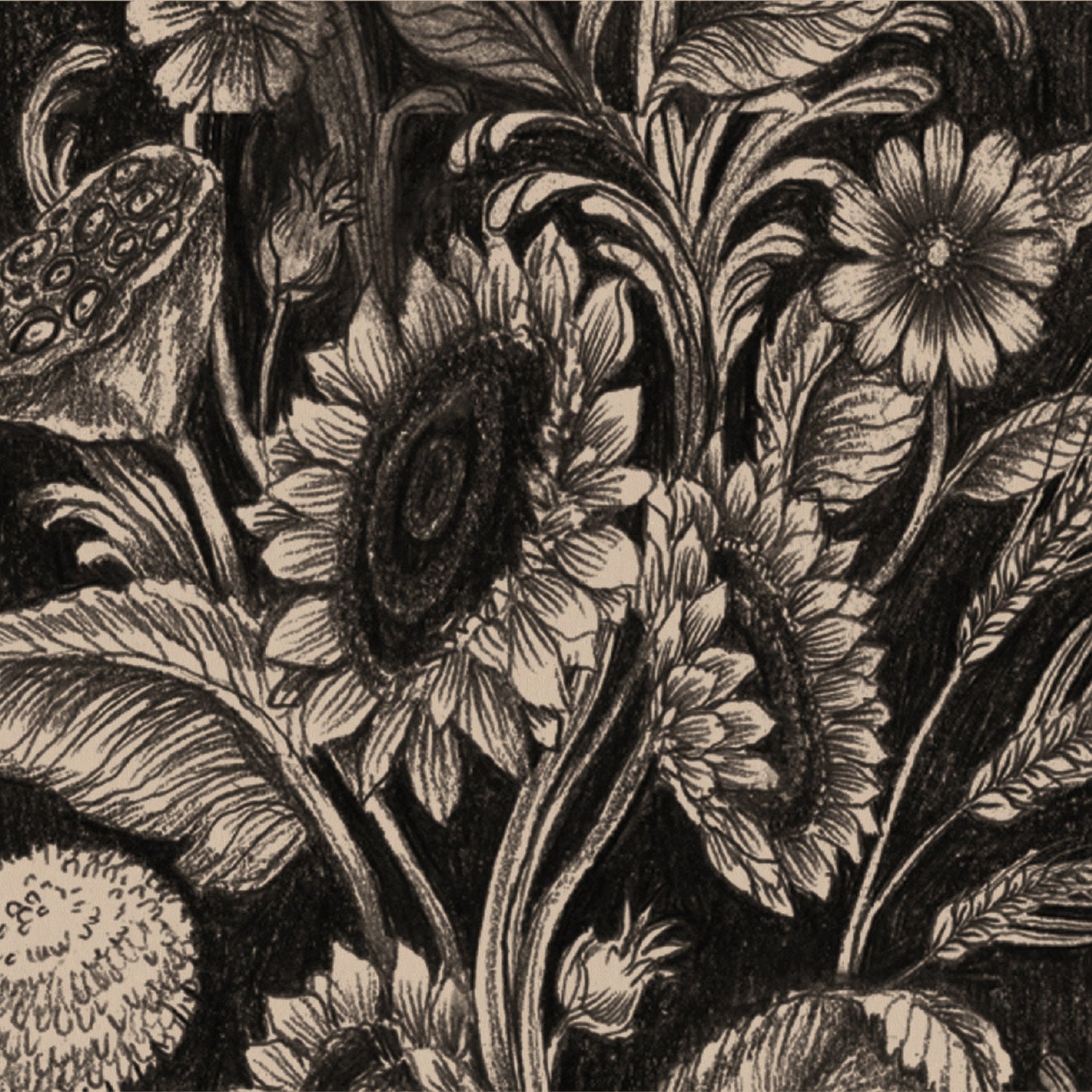 An illustration of black monochrome sunflowers, dandelions, and lotus pods on a black background.