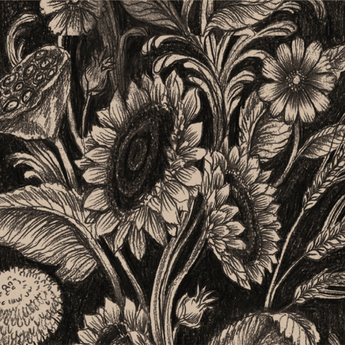 An illustration of black monochrome sunflowers, dandelions, and lotus pods on a black background.
